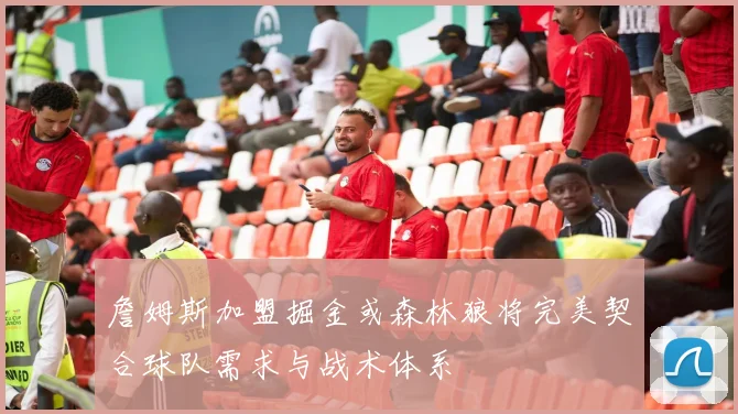 詹姆斯加盟掘金或森林狼将完美契合球队需求与战术体系