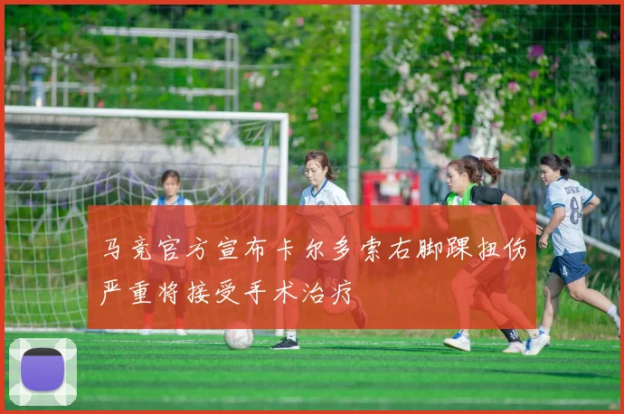 马竞官方宣布卡尔多索右脚踝扭伤严重将接受手术治疗